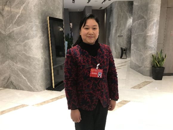 省人大代表、淮安市实验小学幼儿园院长倪春玲